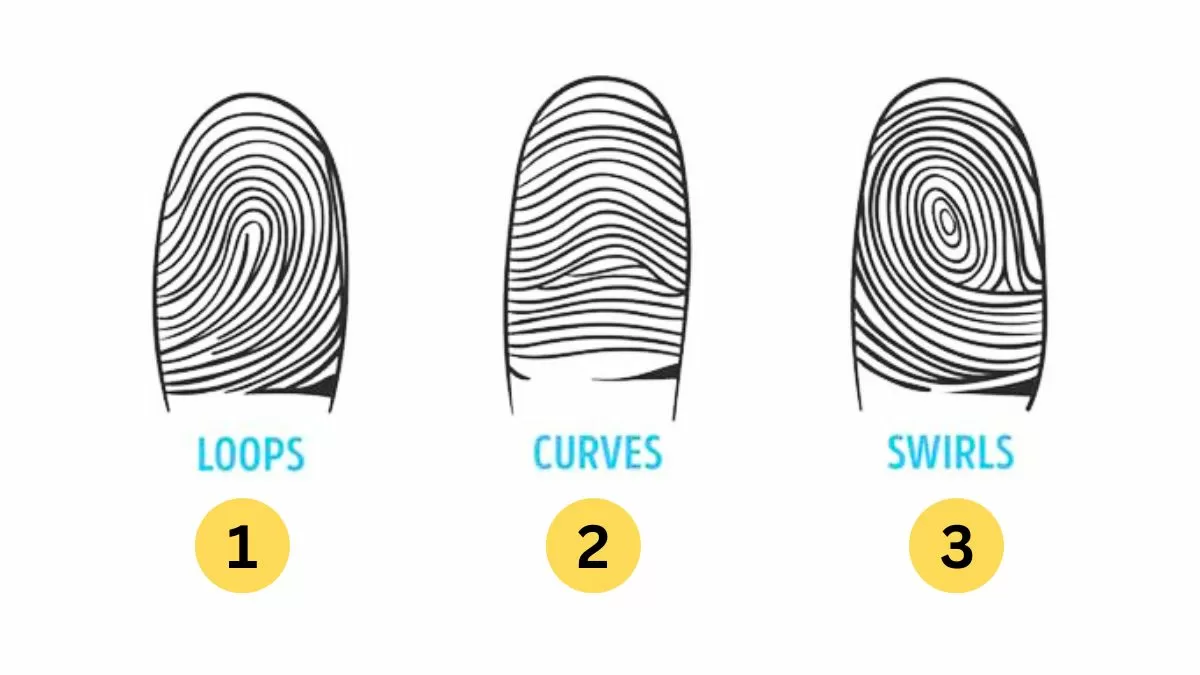 Fingerprint Analysis