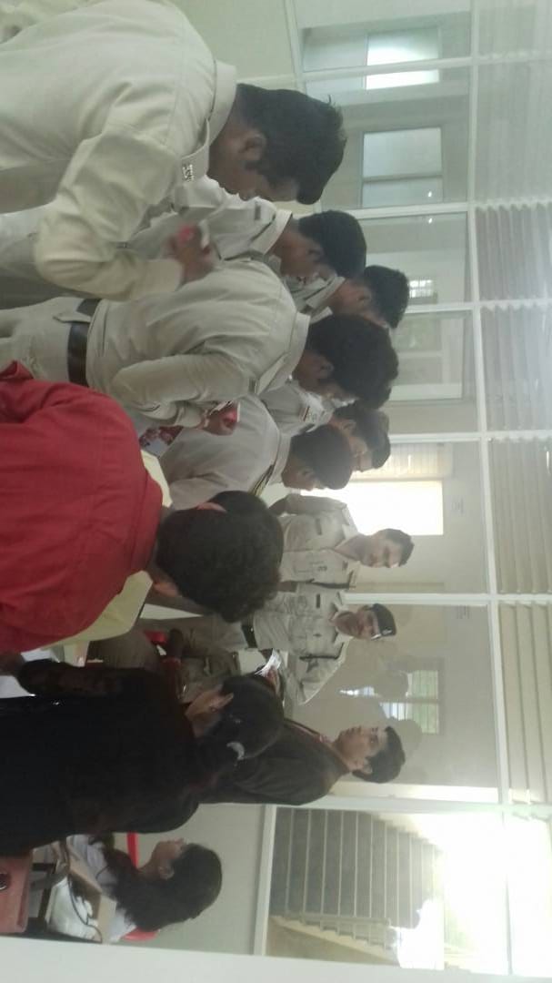 Professional Analysis